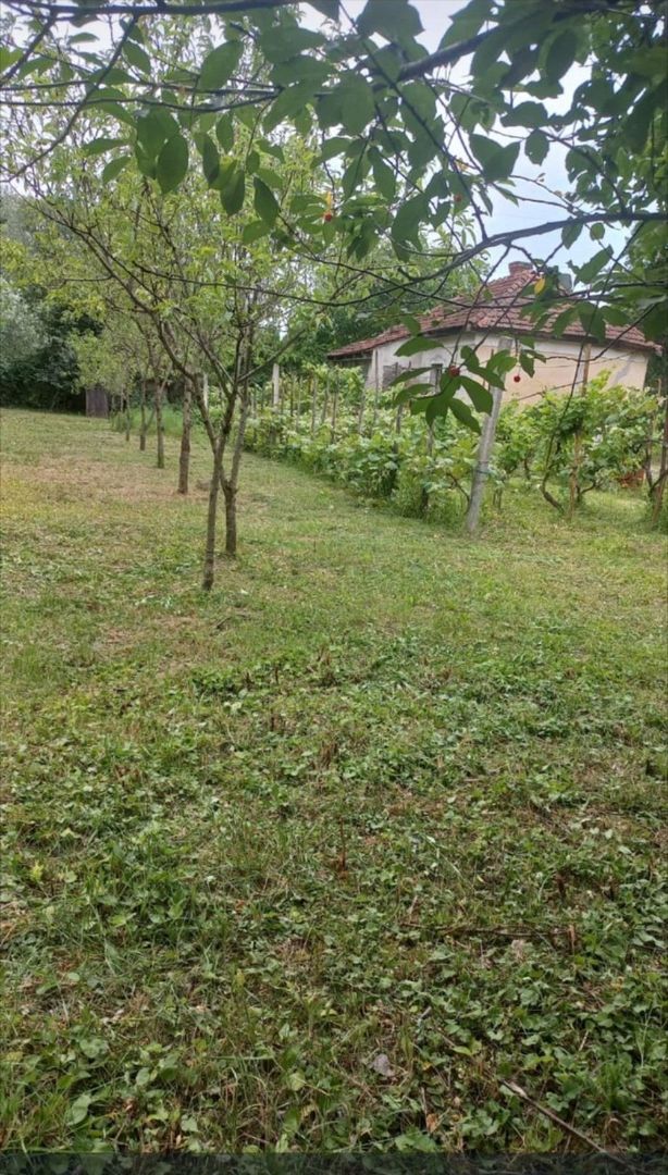 Teren 36 Ari intravilan Zona Strandului - Poză 3