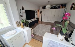 2 Camere-etaj 2-Rond Zimbru - Poză 2