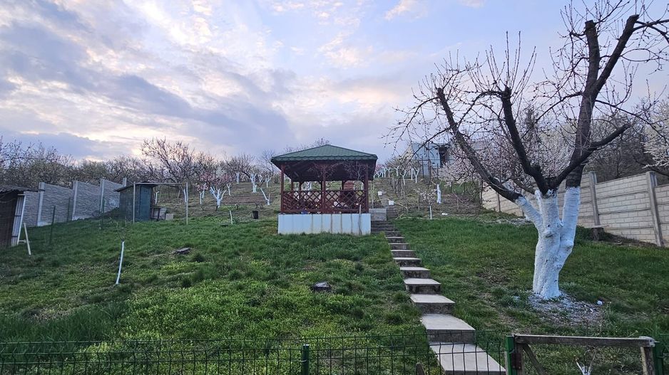 Vila  Oradea zona Iorga 420 mp ,teren 2000 ml - Poză 19