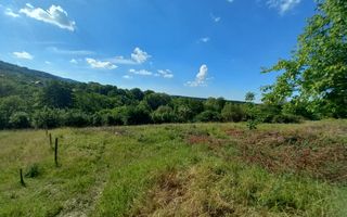 Teren în Fântânele – 3.673 mp, pârâu si cadru natural  deosebit - Poză 15