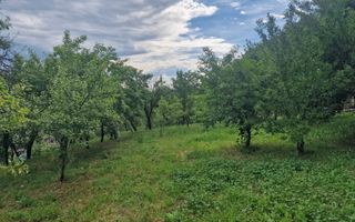 Teren intravilan  1400 mp - Albota ! - Poză 4