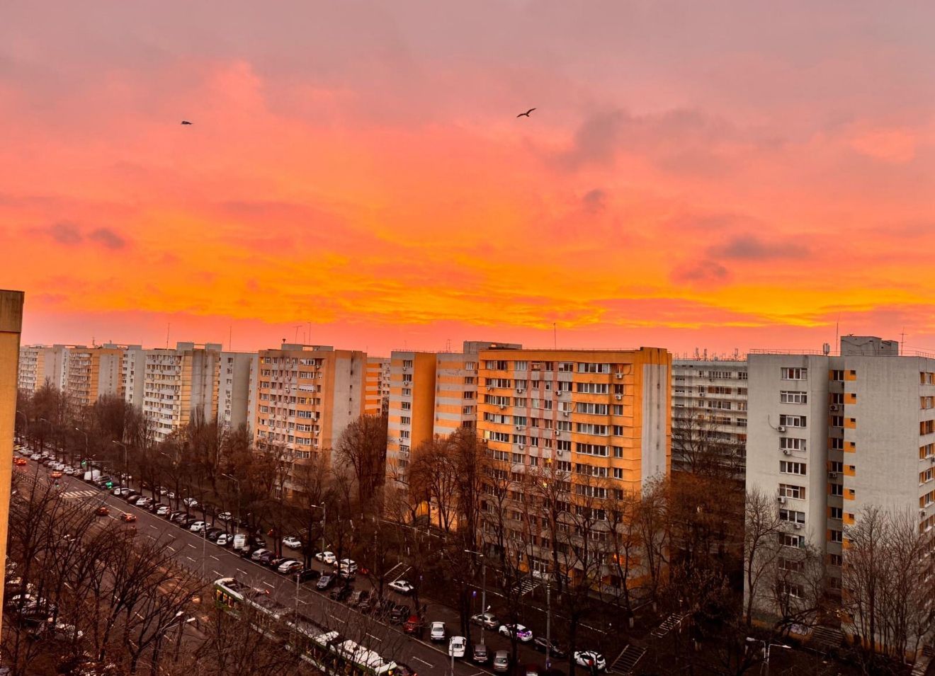 AP. 2 CAMERE DOAMNA GHICA, PET-FRIENDLY, PRIMA INCHIRIERE, RENOVAT - Poză 8