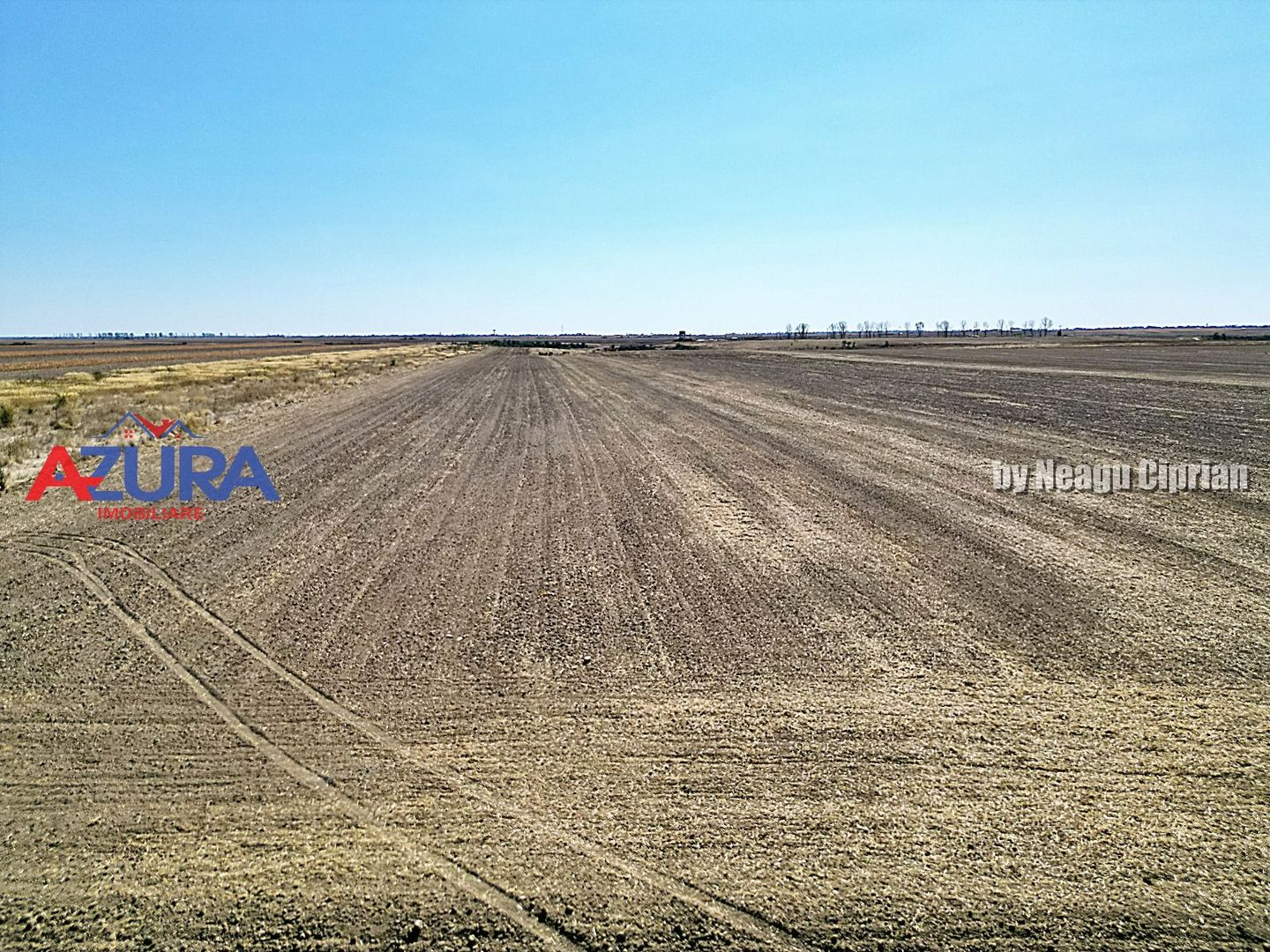 Teren agricol, 5HA, comasat, drum acces, Cateasca - Poză 7