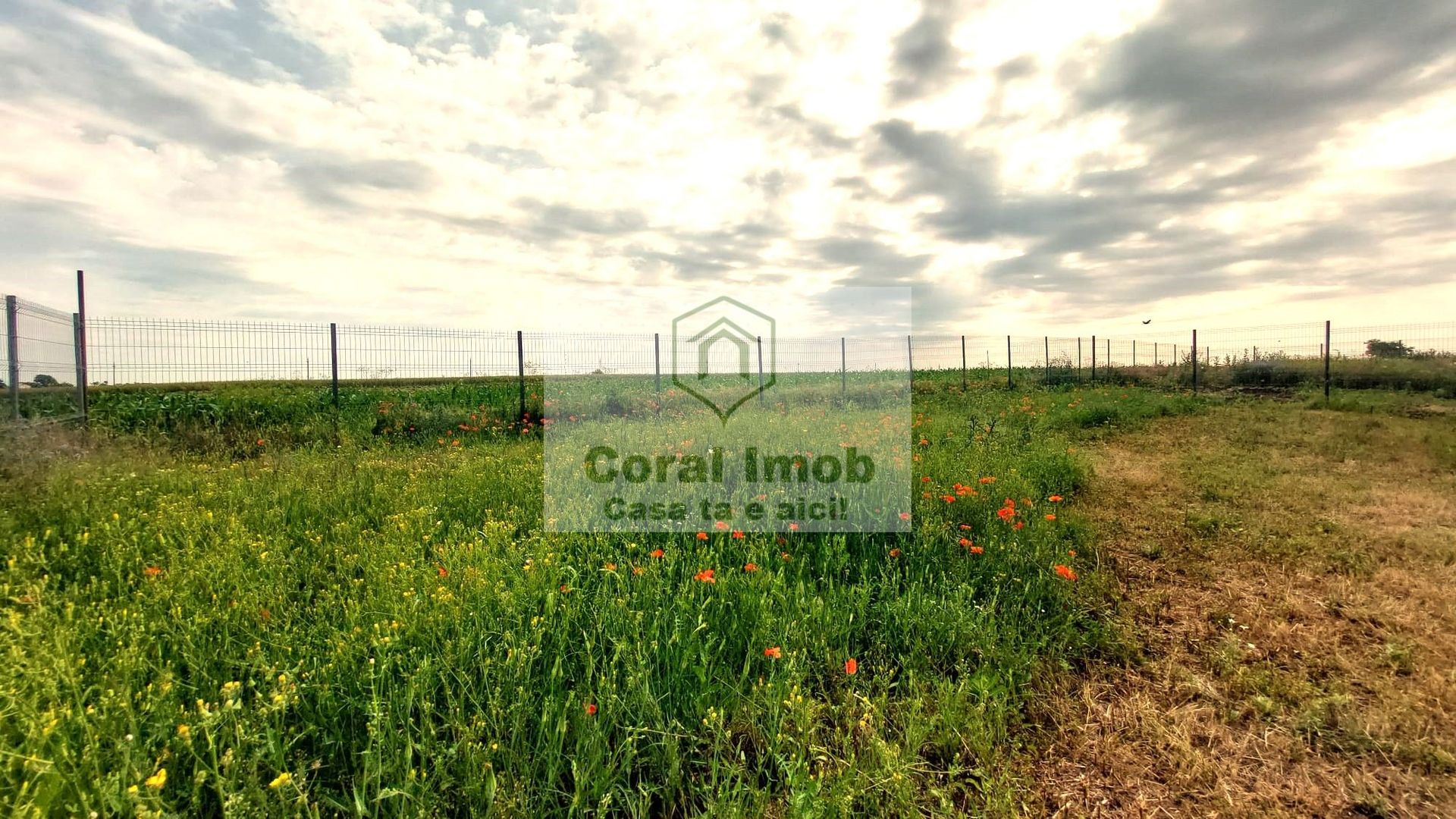 Duplex vanzare in Darvari, Calarasi, format din 2 unitati locative. - Poză 11