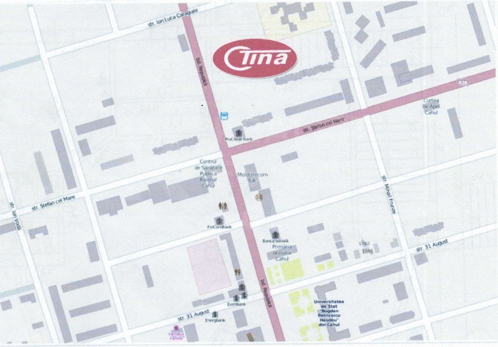 Vânzare, spațiu comercial, 715 mp, bd. Republicii, Cahul - Poză 3