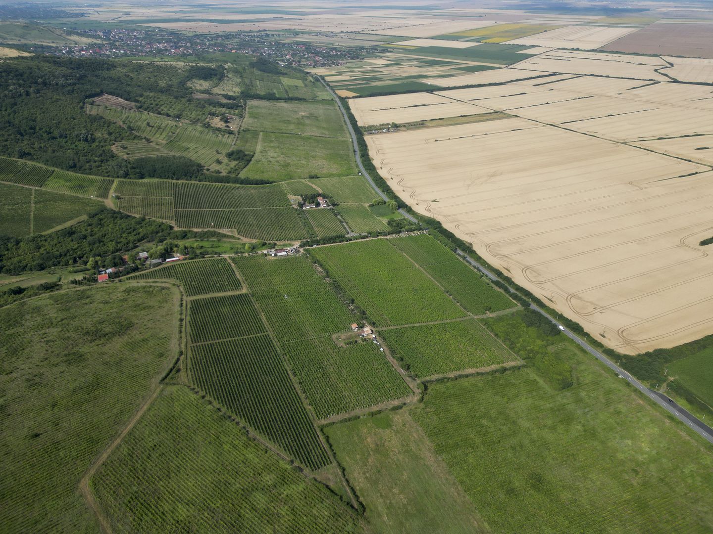 Vie Tradițională „Halta Lupilor” - Poză 29
