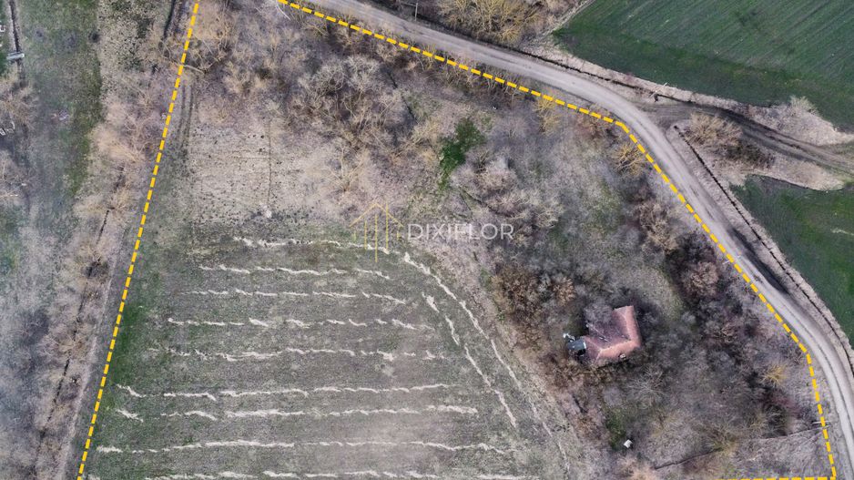 Teren agricol parțial intravilan | Ceuașu de Câmpie - Poză 4