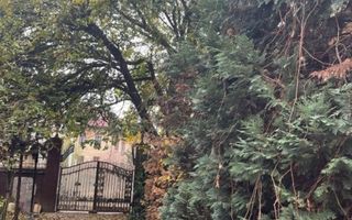 Vila 10 camere Calea Calarasi / Unirii - Poză 22