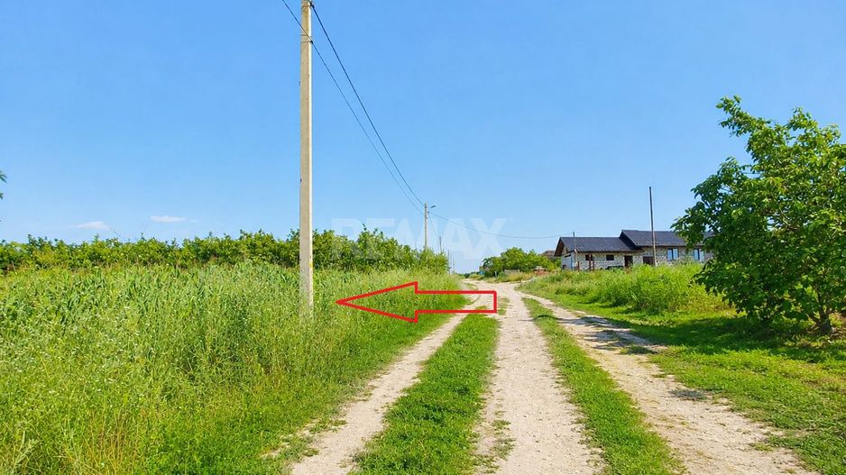 TEREN PENTRU CONSTRUCȚIE – 12 ARI | SPEIA- ANENII NOI - Poză 4
