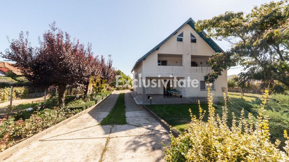 Casa visurilor cu 4000 mp livada roditoare si gradina Darmanesti-Arges - Poză 24