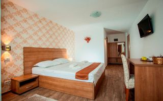 Proprietate cu profit rapid - Hotel cu amplasare premium, Popesti - Poză 7