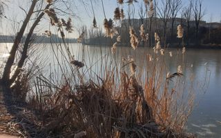 Teren superb rezidential, pe malul lacului Pipera - Poză 1