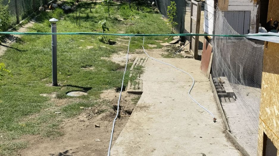 Casa Periam Port - Poză 14