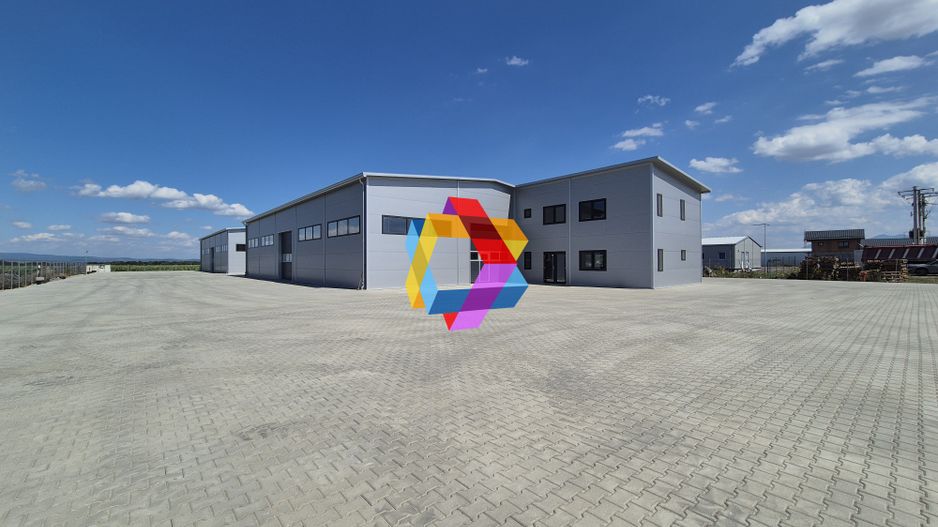 Hala - 1400 mp  # plus-imo.ro - Poză 3