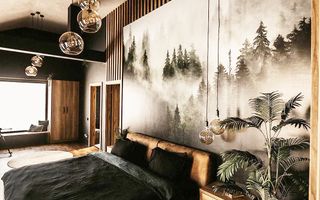 Casa 3 camere cu piscina incalzita de vanzare , Satu Nou de Sus - Poză 6