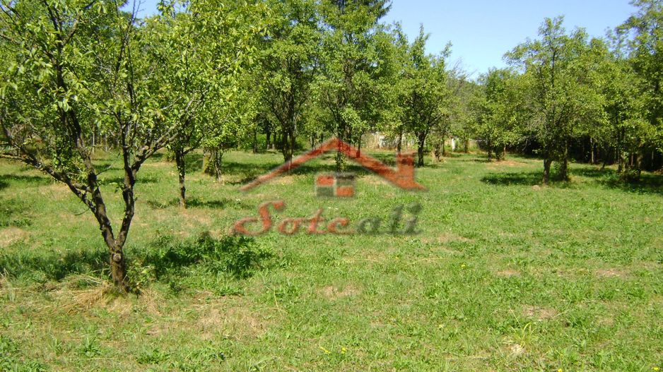 Teren  de vanzare Cornu 1919 mp - Poză 6