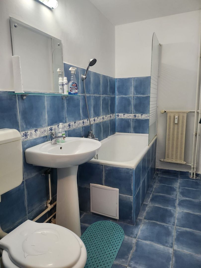 Închiriere Garsonieră Spațioasă lângă Bd Nerva Traian si Octavian Goga - Poză 5