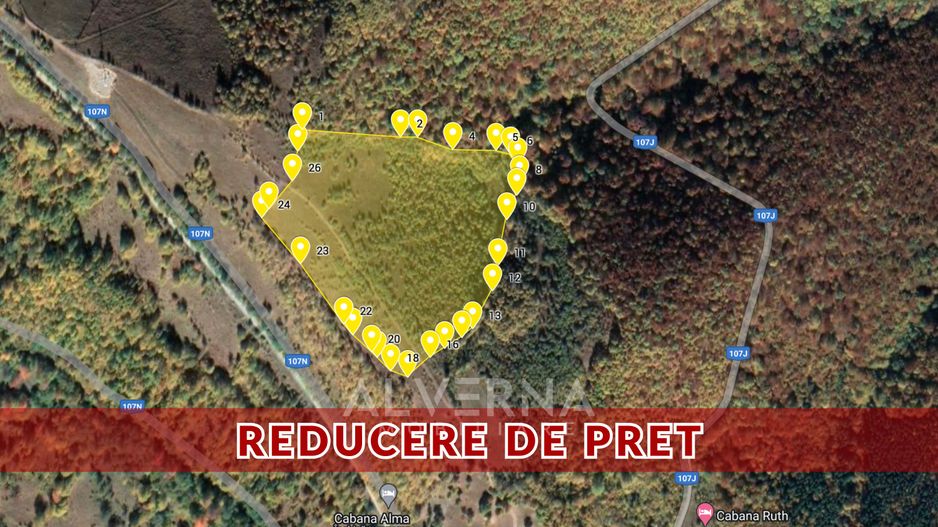 OPORTUNITATE | Teren intravilan | 34.625 mp | Plopi - Valea Ierii - Poză 1