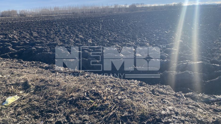 Teren extravilan | Drum Satu Mare | 42Ari - Poză 3