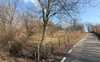 Teren intravilan 2788 mp deschidere 55 ml cu vedere panoramica ! - Poză 21