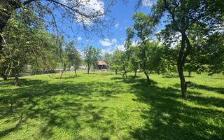 TEREN INTRAVILAN 3477 MP STOENEȘTI BĂDENI ARGEȘ - Poză 14
