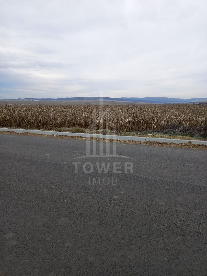 Teren INTRAVILAN | OPORTUNITATE | 7.000mp | Șura Mică - Poză 3