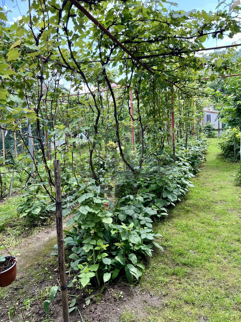 Casa de vanzare 6 camere zona Piata Cluj/Kogalniceanu/Turnisor - Poză 26