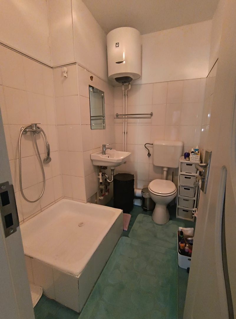 Ion Mihalache (1 Mai)- Domenii- Turda - Poză 10