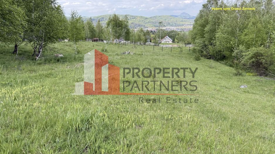Teren intravilan 5.261 mp Tohănița | Deschidere 49 m | Utilități, lângă pădure - Poză 7