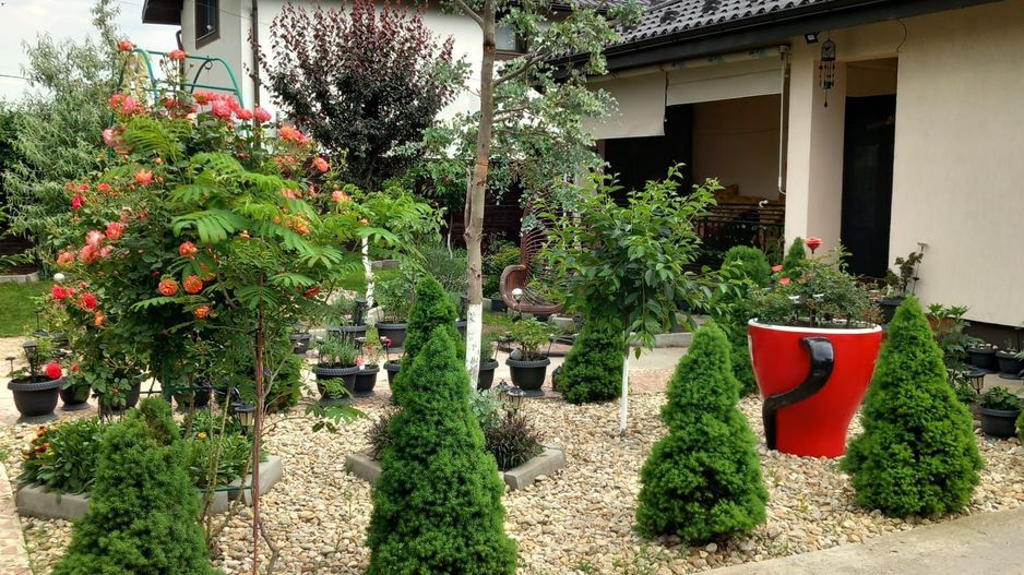 Parter cu structură pentru etaj, curte amenajată și organizare impeca - Poză 19