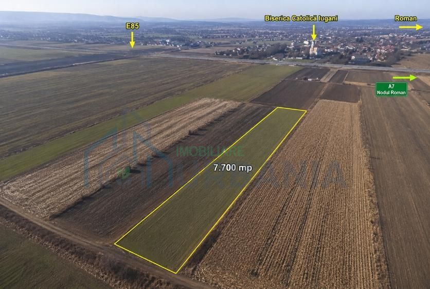 Teren agricol 7.700 mp, Iugani, lângă E85 și Nodul A7 Roman – investiție - Poză 1