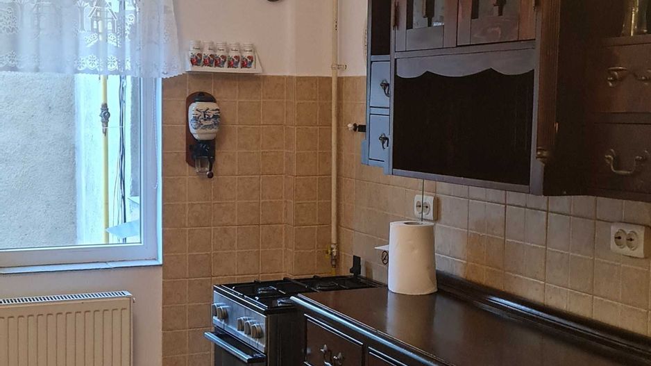BRASADAS vinde ap 3 cam Careiului. - Poză 7