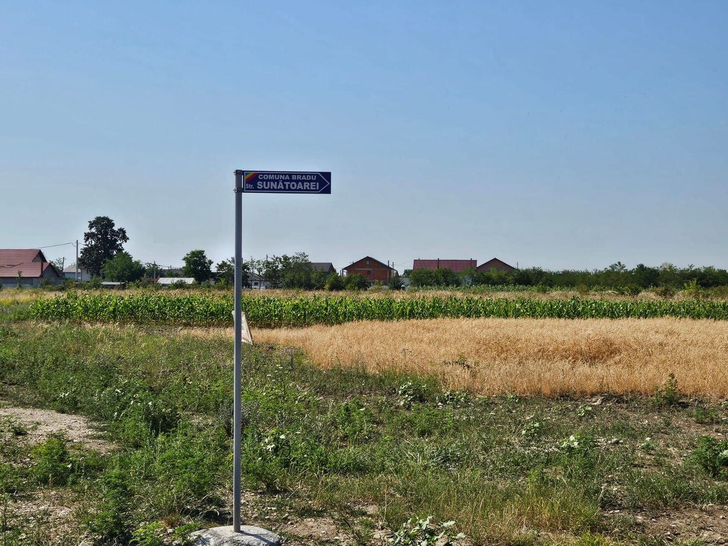 Vând teren intravilan în Bradu - 500 mp - Poză 2