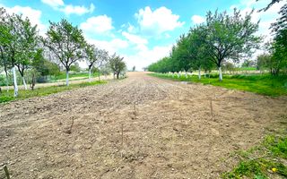 Teren Intravilan de Vânzare, Cetariu, 5450mp - Poză 1