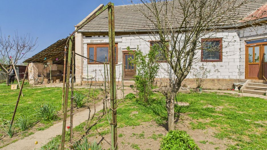 Casă cu Grădină Mare la 30 km de Timișoara - Poză 1
