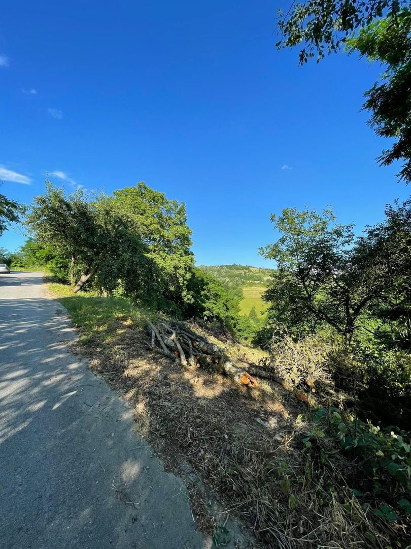 Teren zona turistica Rosia - Poză 11