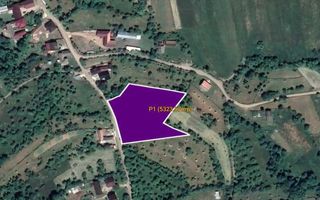 🌿 Teren de vânzare – Josenii Bargului - intravilan - Poză 1