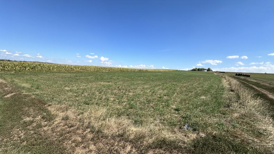 Teren Intravilan | Jucu de Mijloc | Investitie | 8202 mp - Poză 3