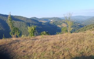Teren Intravilan | 3.000 mp | Gârda de Sus | Alba | - Poză 2