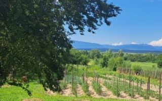 Proprietate cu potențial turistic și agricol | 7.661 mp|Șomanești-GORJ - Poză 1