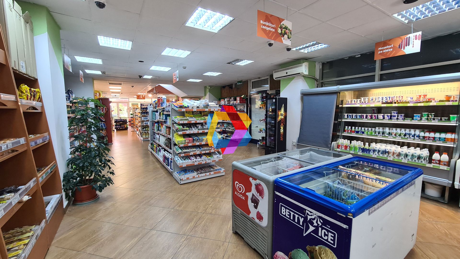 Spatiu comercial - 567 mp - Poză 4