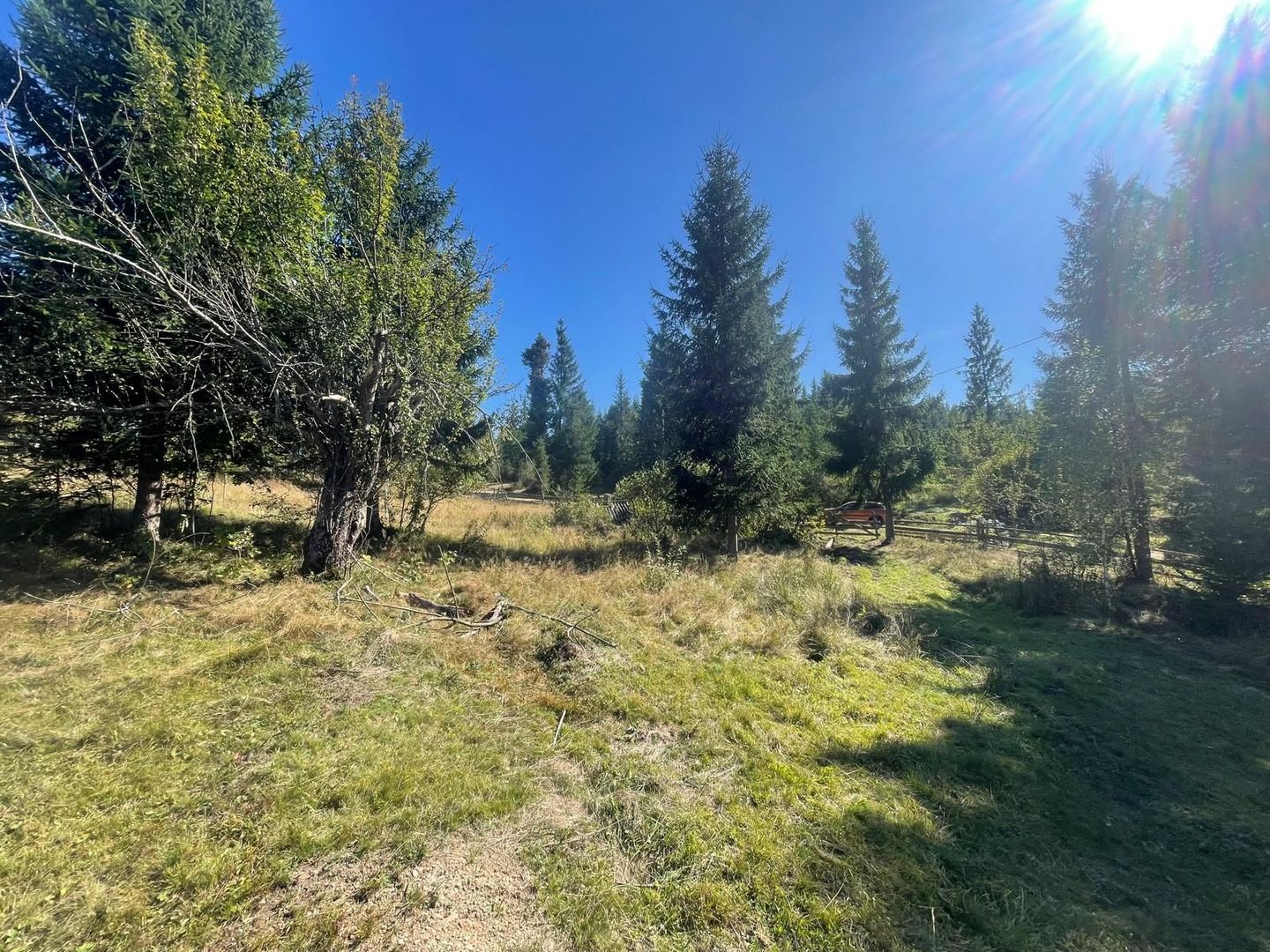 Teren Intravilan | Dealul Negru | Investiție | 1500 mp - Poză 2