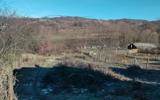 Teren de vânzare intravilan-extravilan  comuna Tigveni jud.Arges - Poză 4