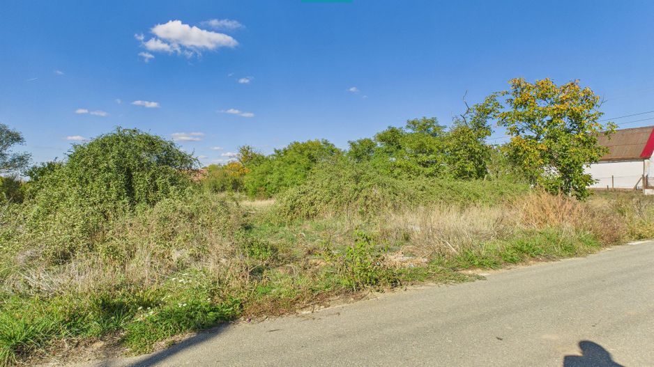 Teren intravilan 6115mp pentru investiții Firiteaz - Poză 6