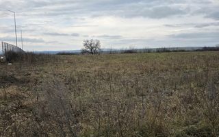 Teren intravilan 4028 mp, str Dimitrie Cantemir, Vaslui - Poză 2