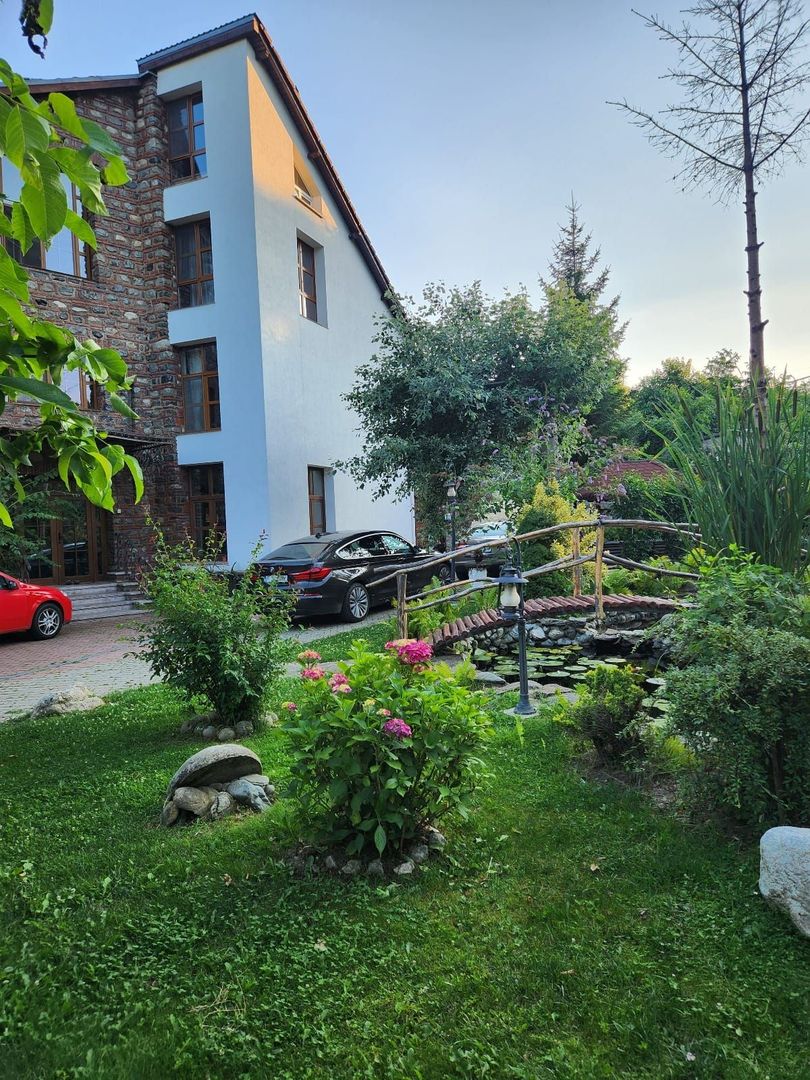 Vila Horezu Romanii de Jos - Poză 40