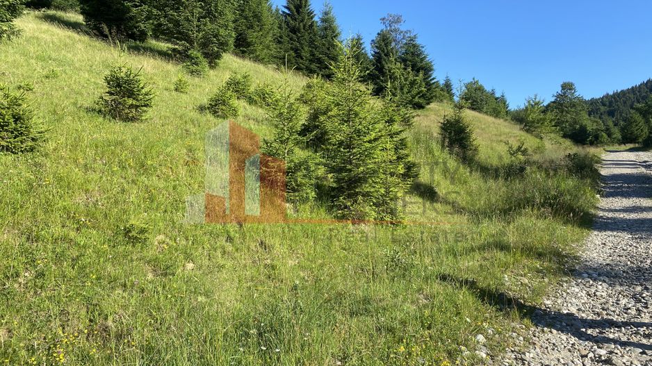 Teren 14400 mp la iesire din Rasnov inspre Pârâul Rece-Trei Brazi - Poză 14