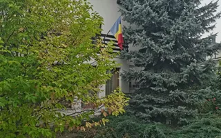 Casă/Vila + Teren 13 Ari de Vânzare |Lisaura/Suceava I 280.000 Euro - Poză 24