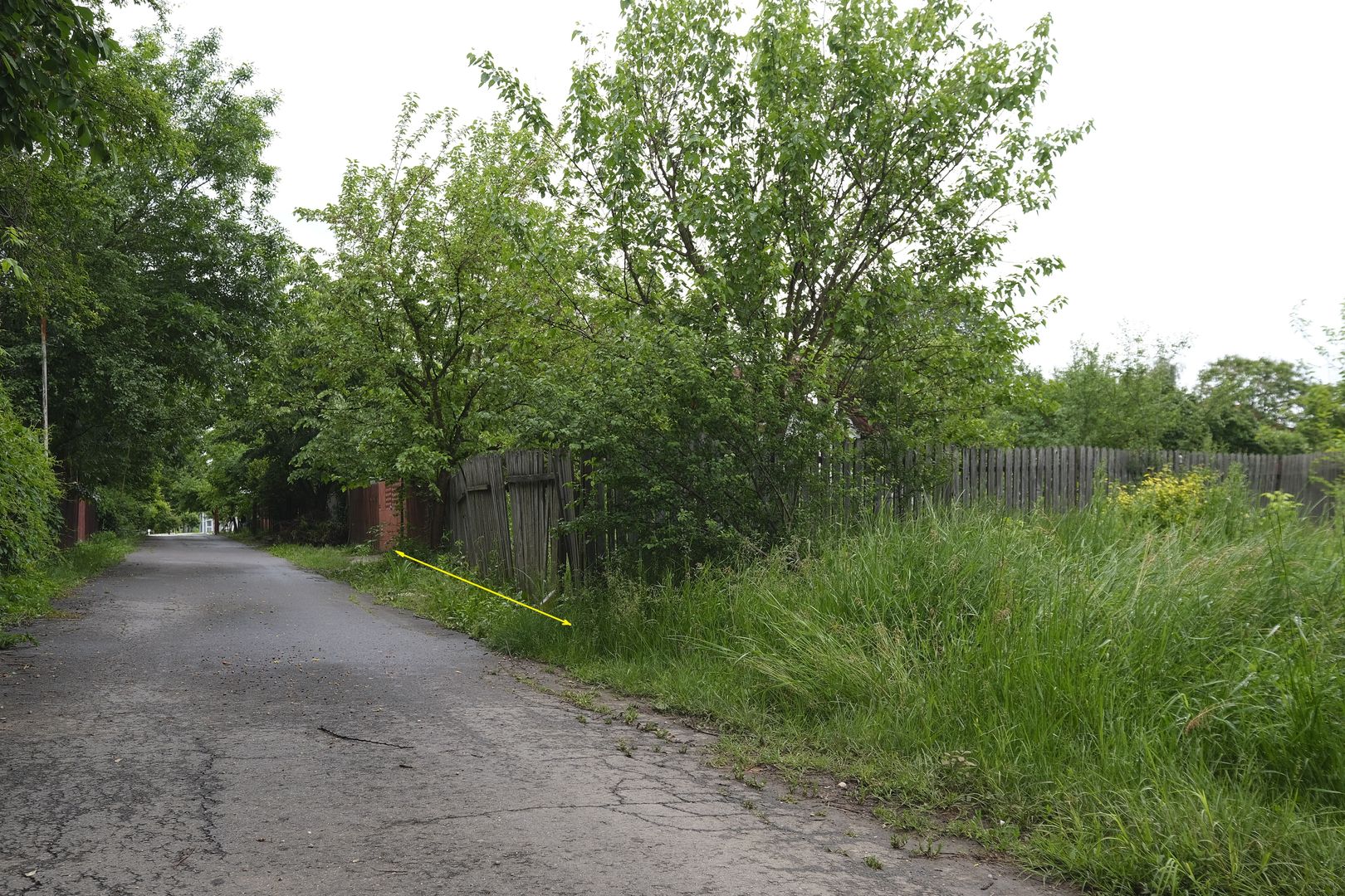 IZVORANI - Mihai Eminescu, 495 mp. teren cu deschidere de 14 m. - Poză 4