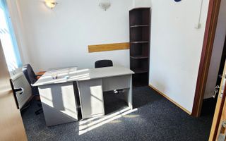 Vanzare proprietate mixtă – Casă + spațiu birou, Ultracentral - Poză 79